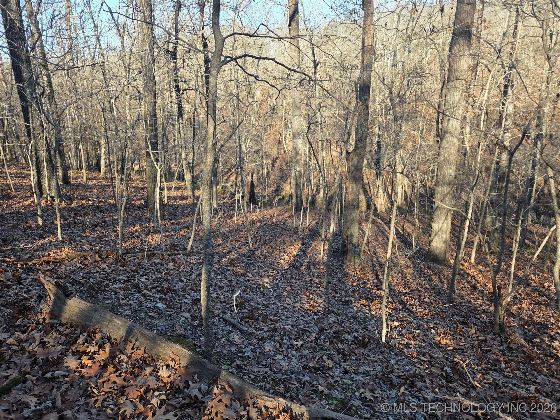 Pigeon Ridge Property Photo 23