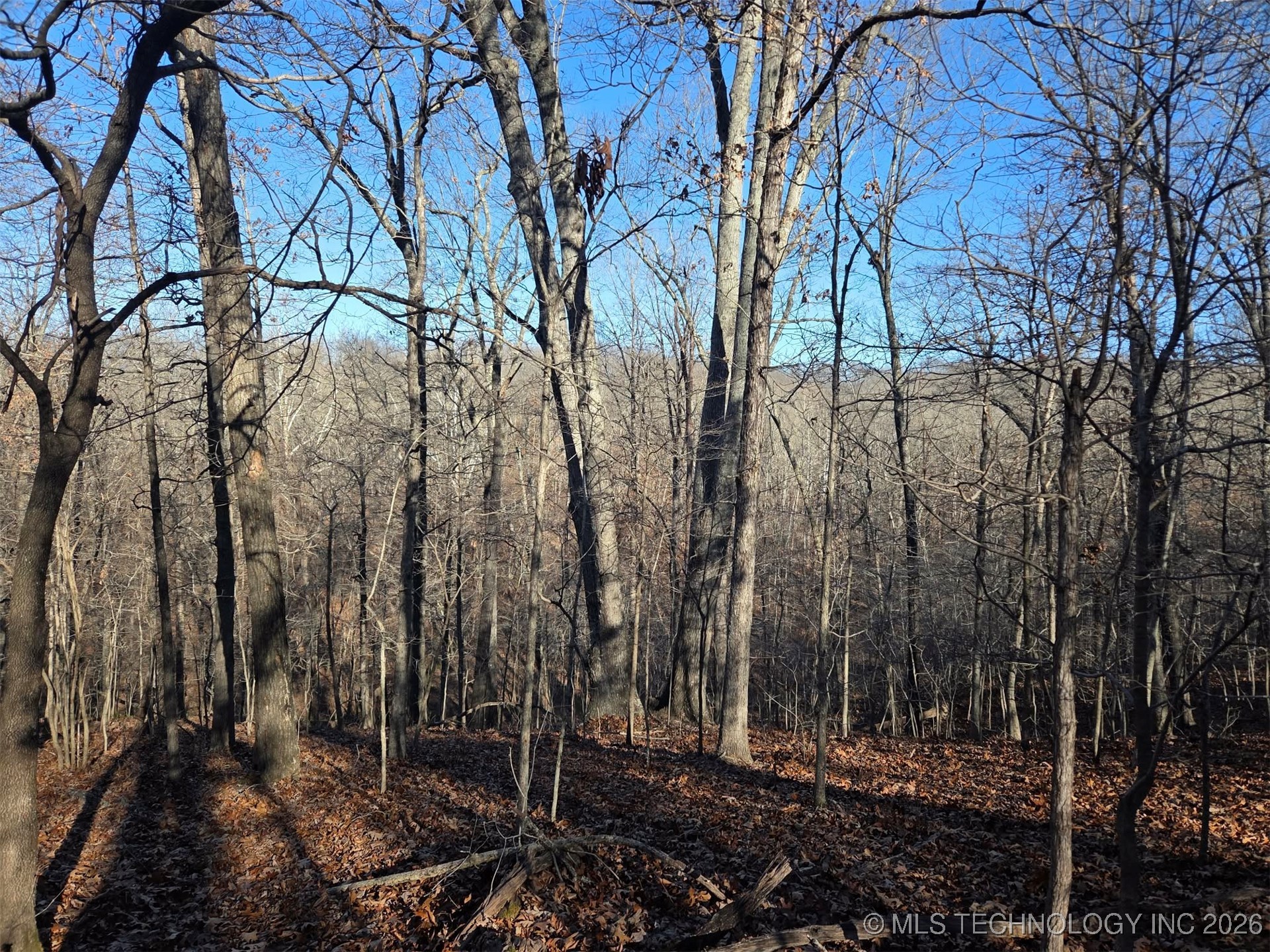 Pigeon Ridge Property Photo 24