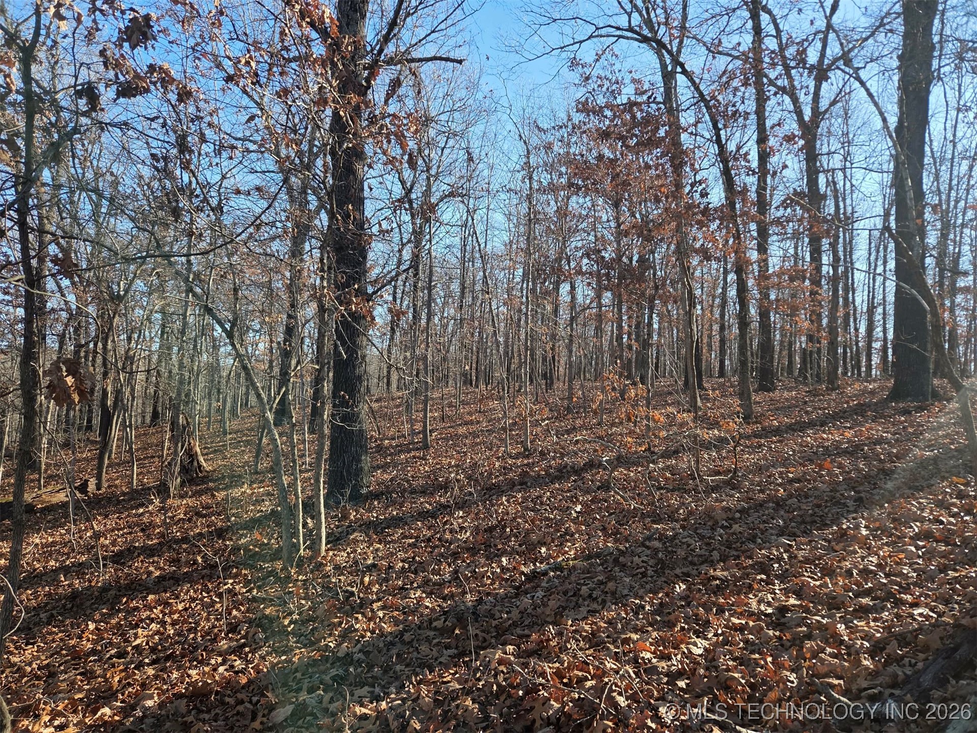 Pigeon Ridge Property Photo 25