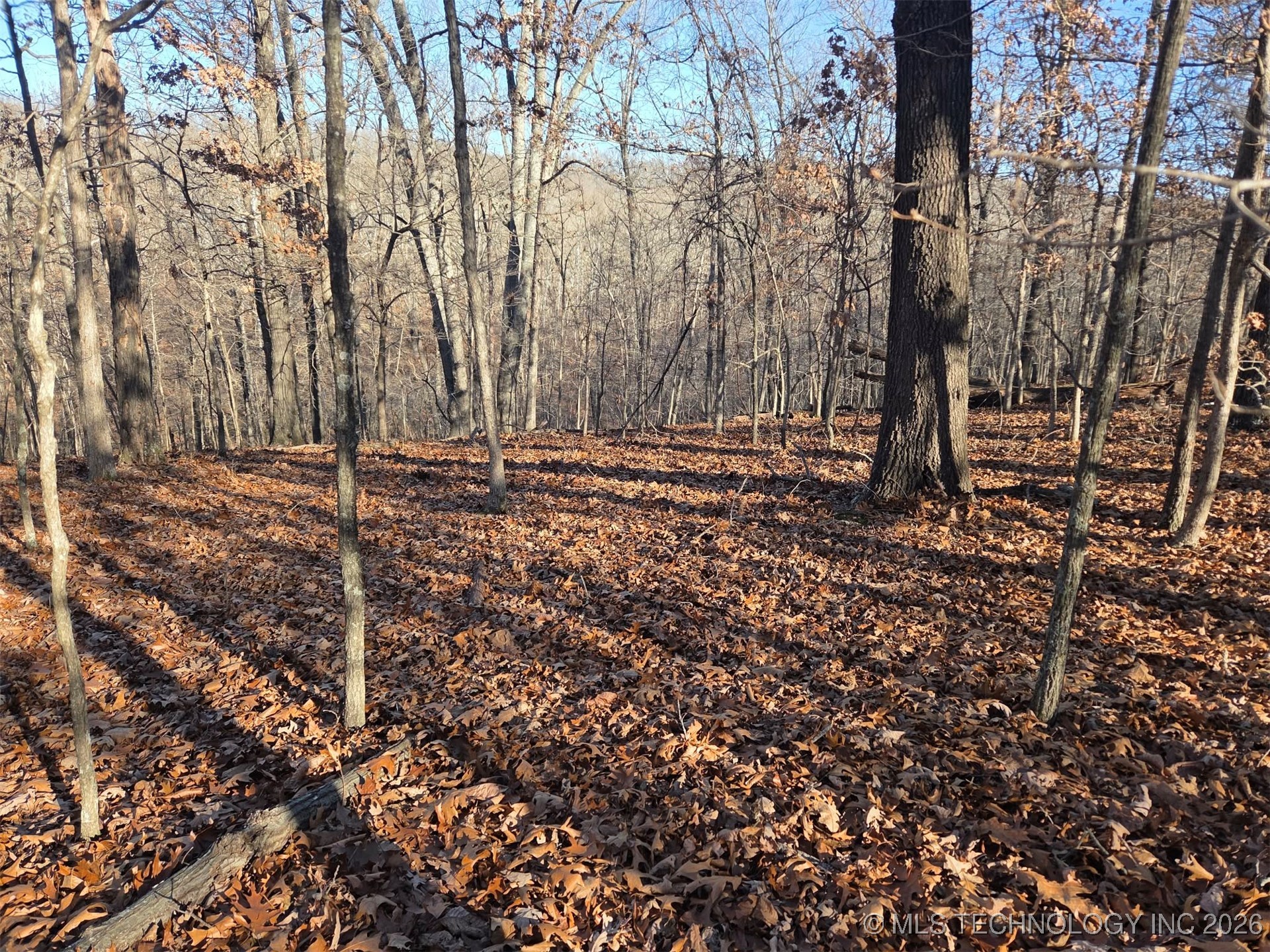 Pigeon Ridge Property Photo 26