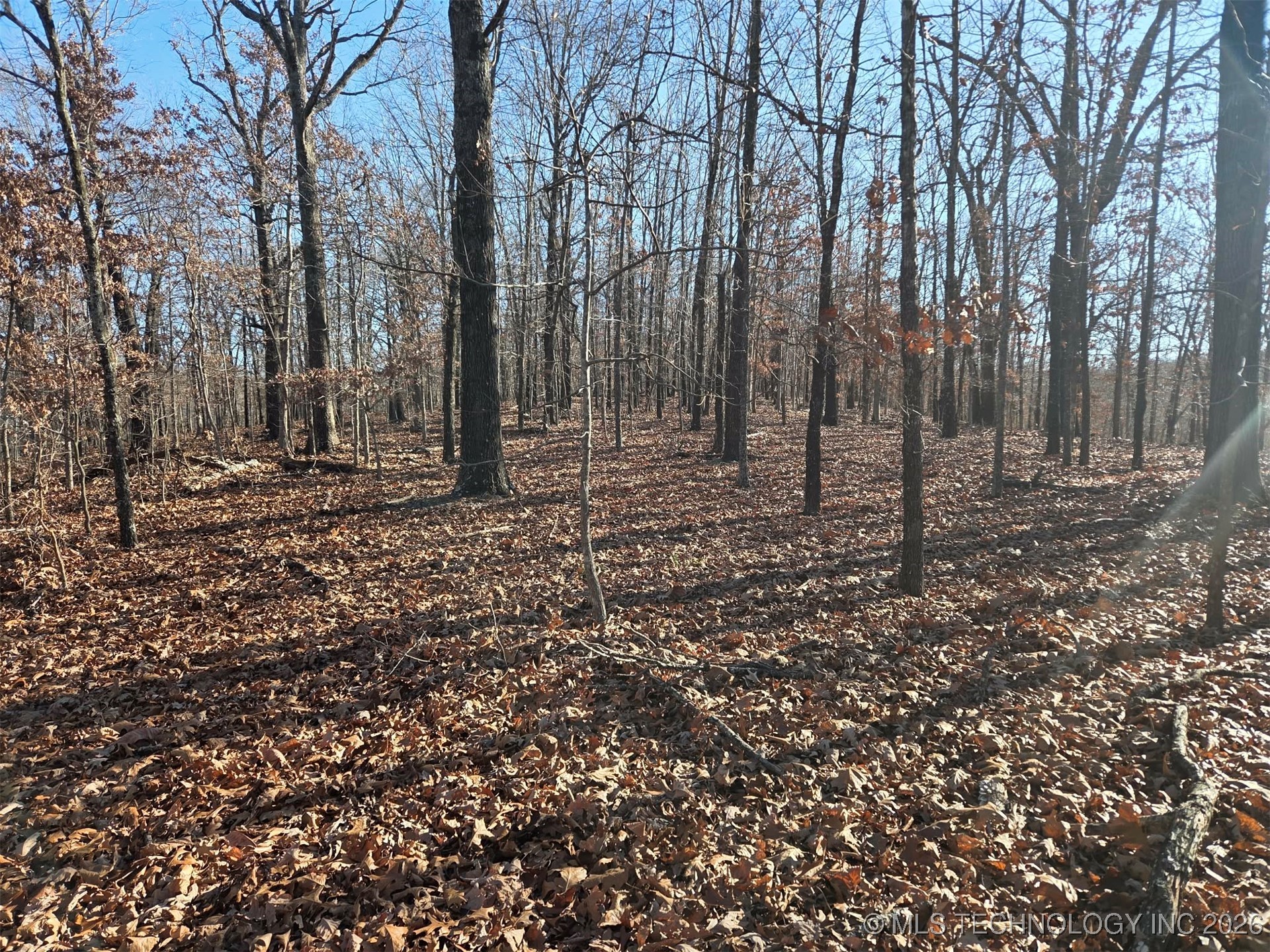 Pigeon Ridge Property Photo 27