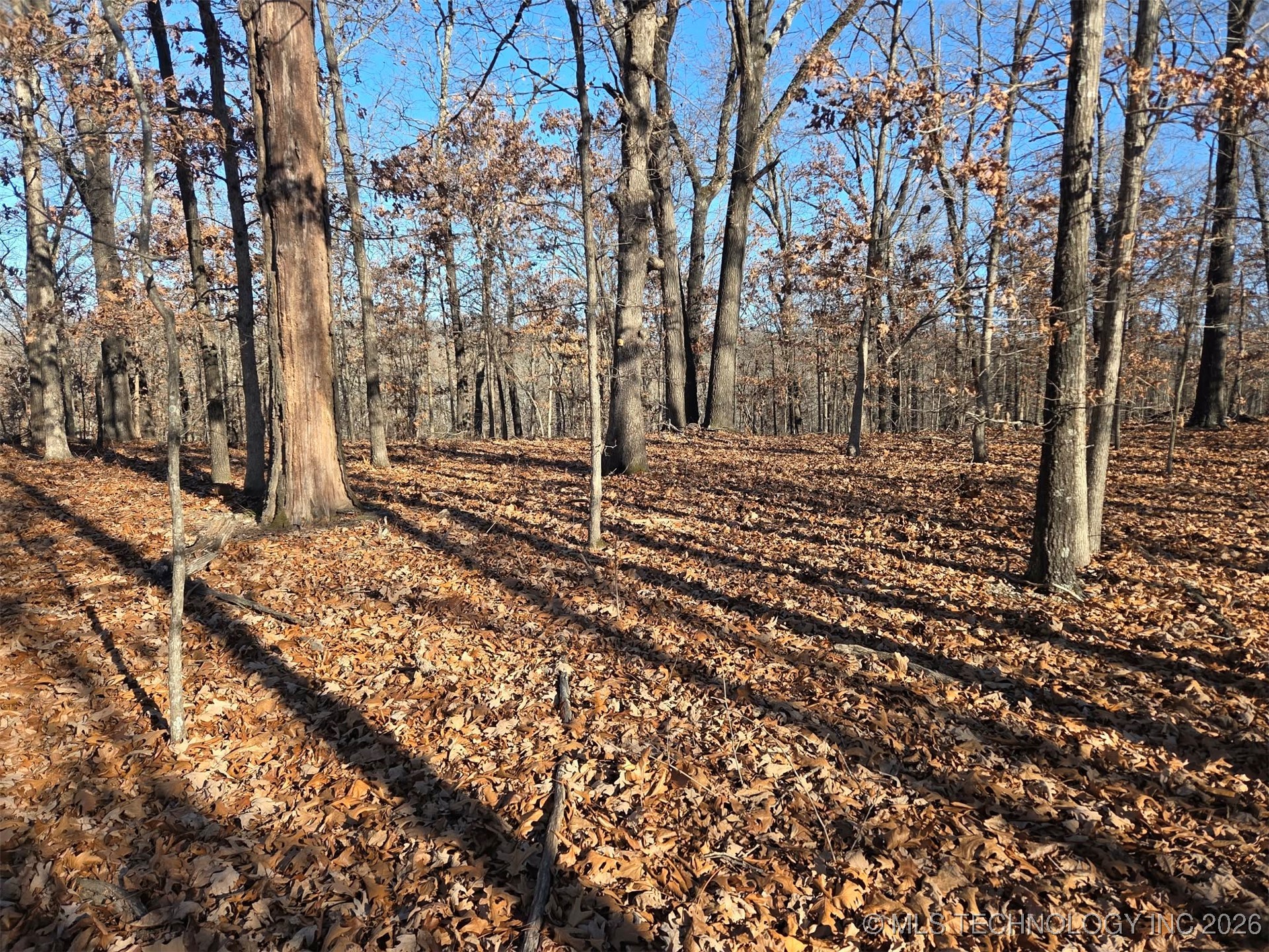 Pigeon Ridge Property Photo 28