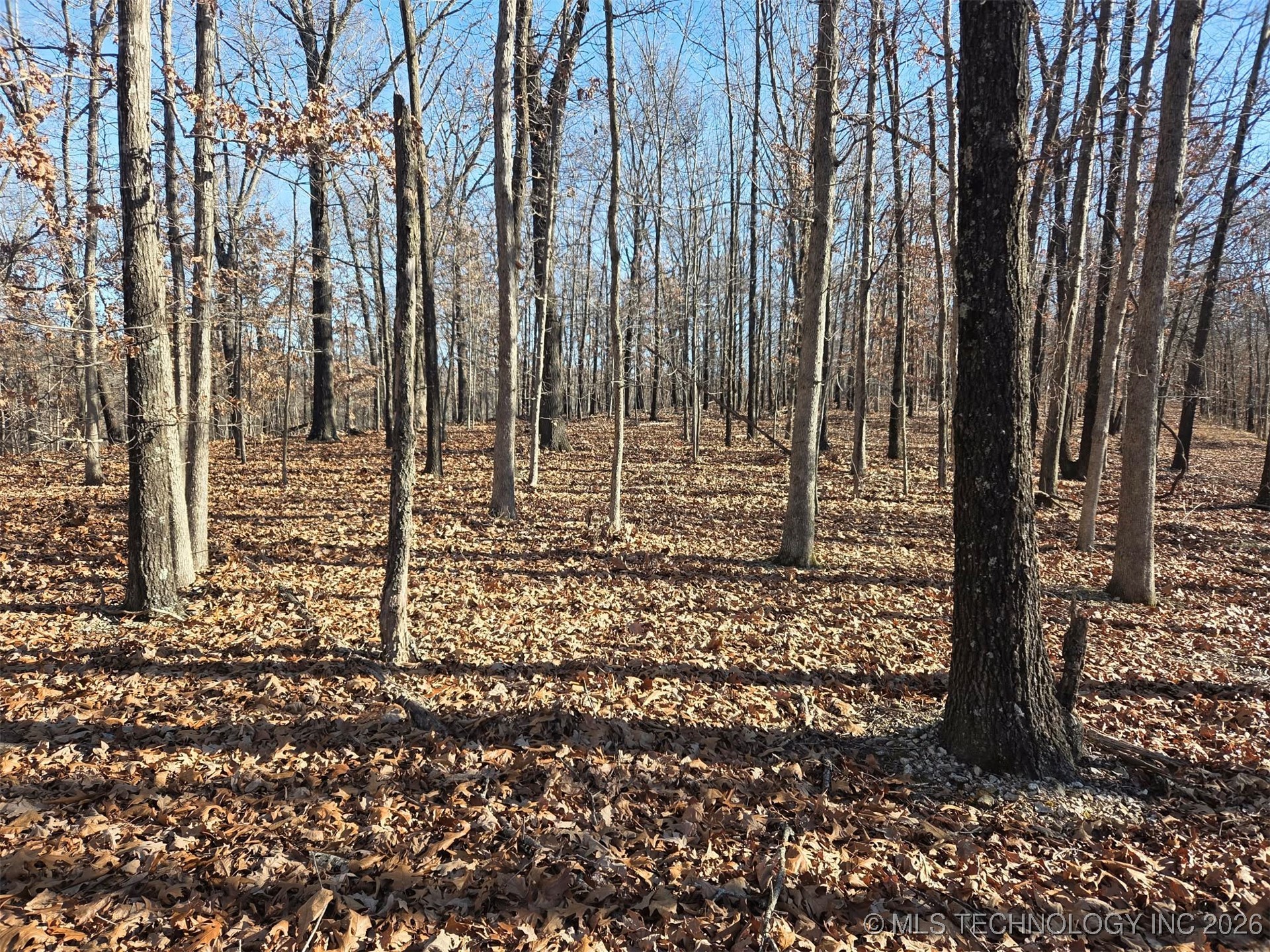 Pigeon Ridge Property Photo 29