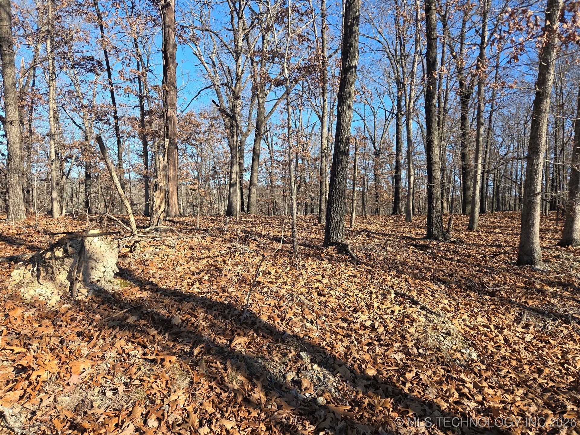 Pigeon Ridge Property Photo 30