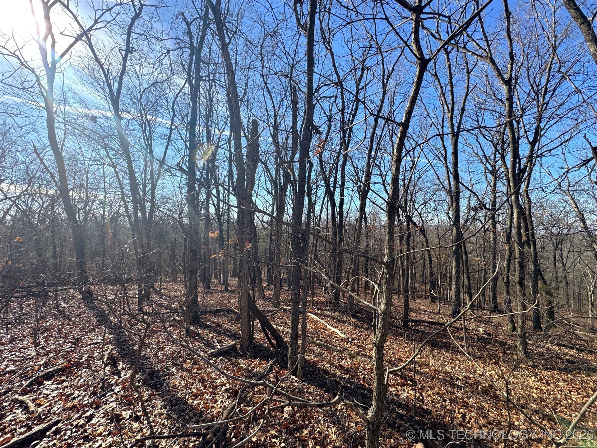 12555 Huckleberry Circle Property Photo 1