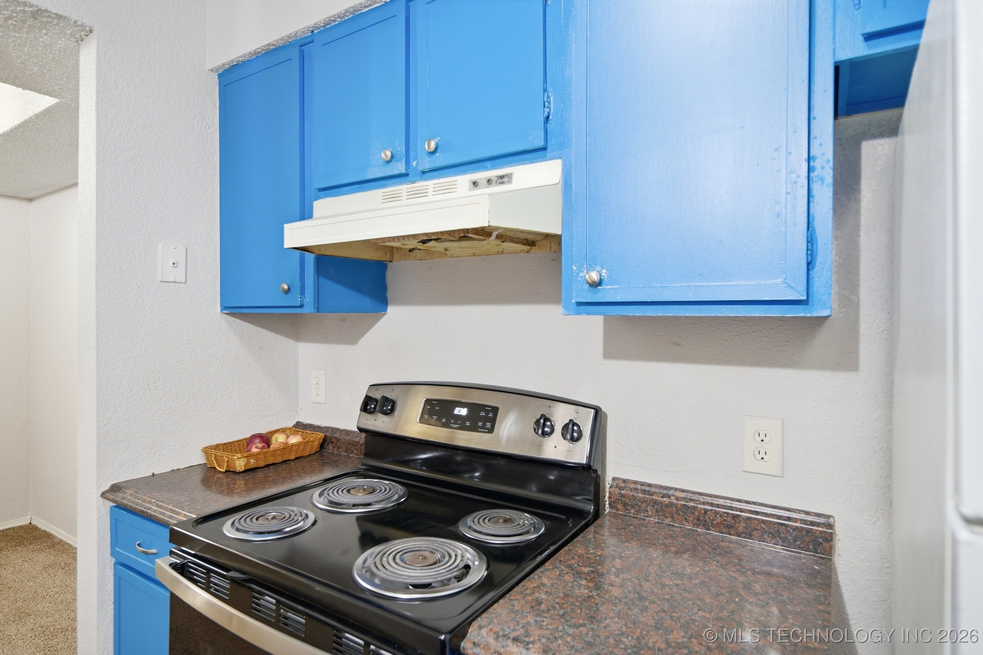 2215 E 67th Street 1511 Property Photo 11