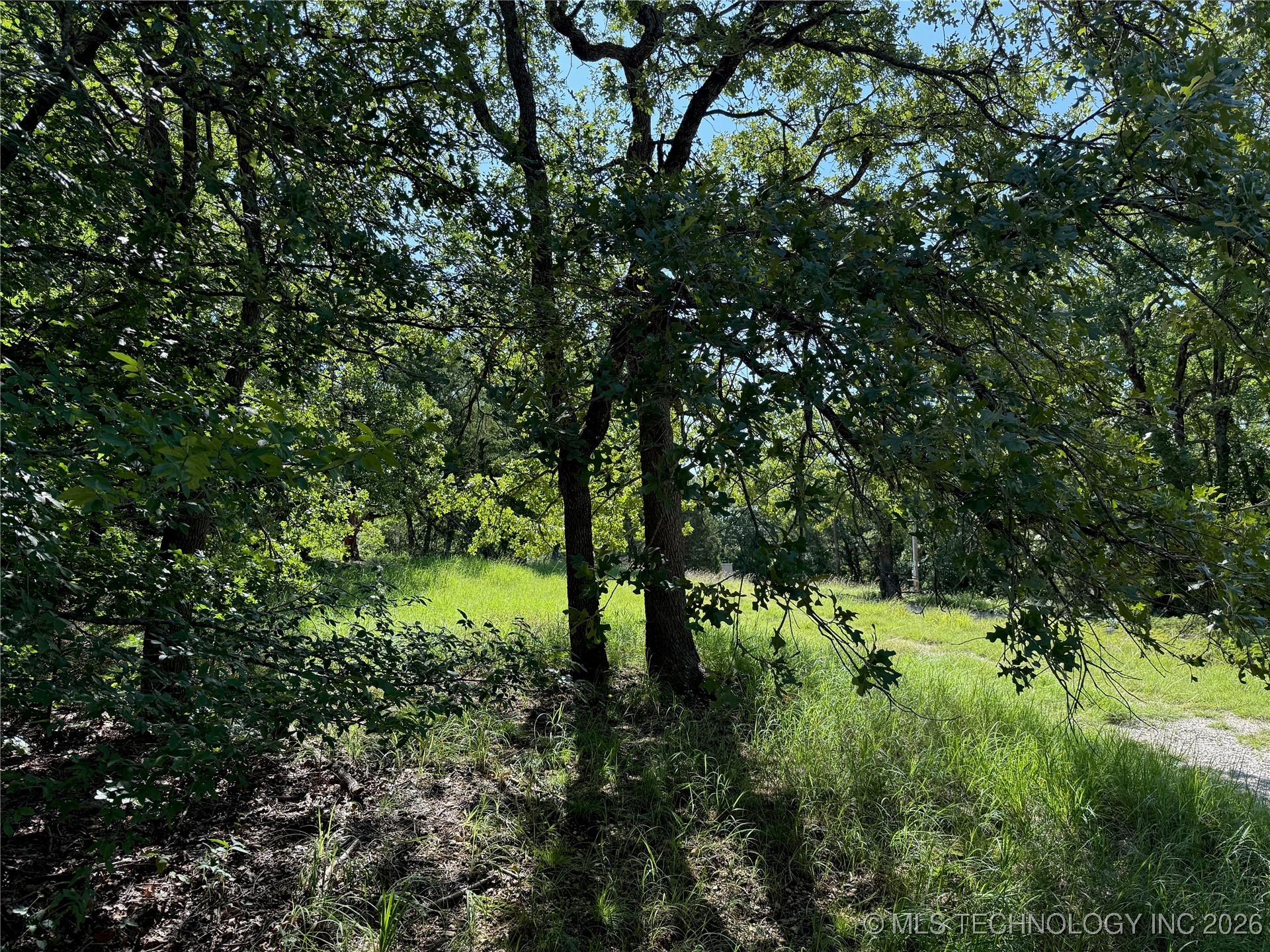 2817 Creek Road Property Photo 3