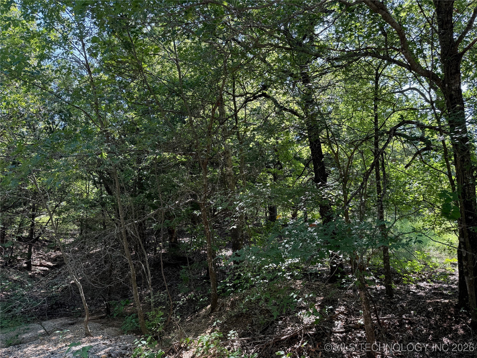 2817 Creek Road Property Photo 4