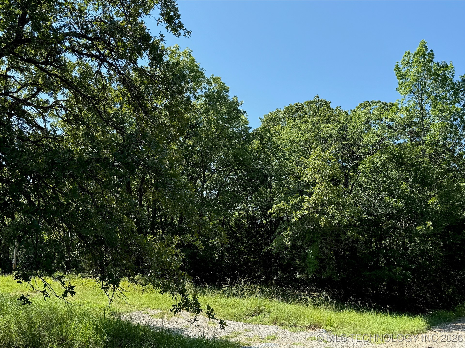 2817 Creek Road Property Photo 5