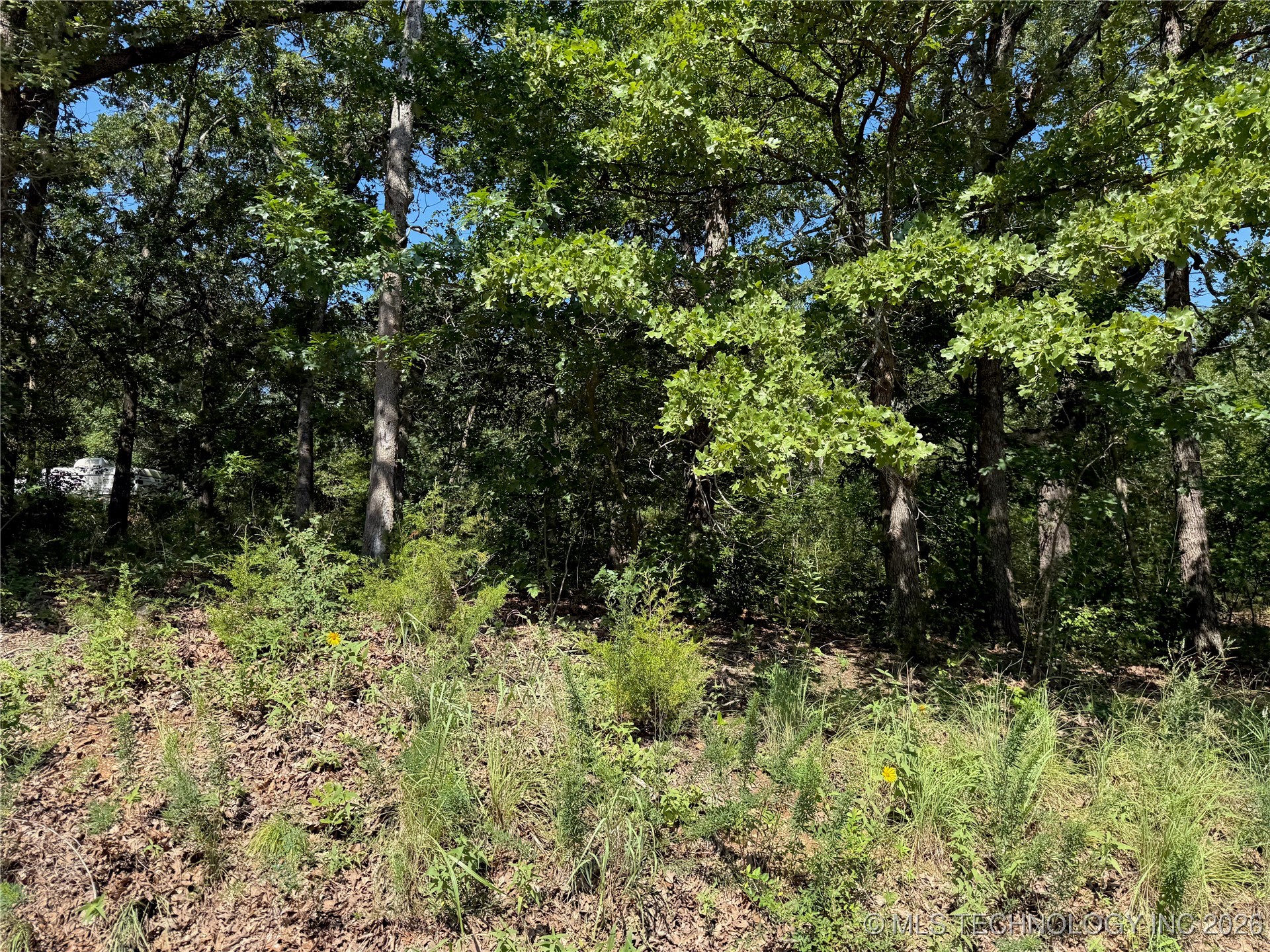 2817 Creek Road Property Photo 6