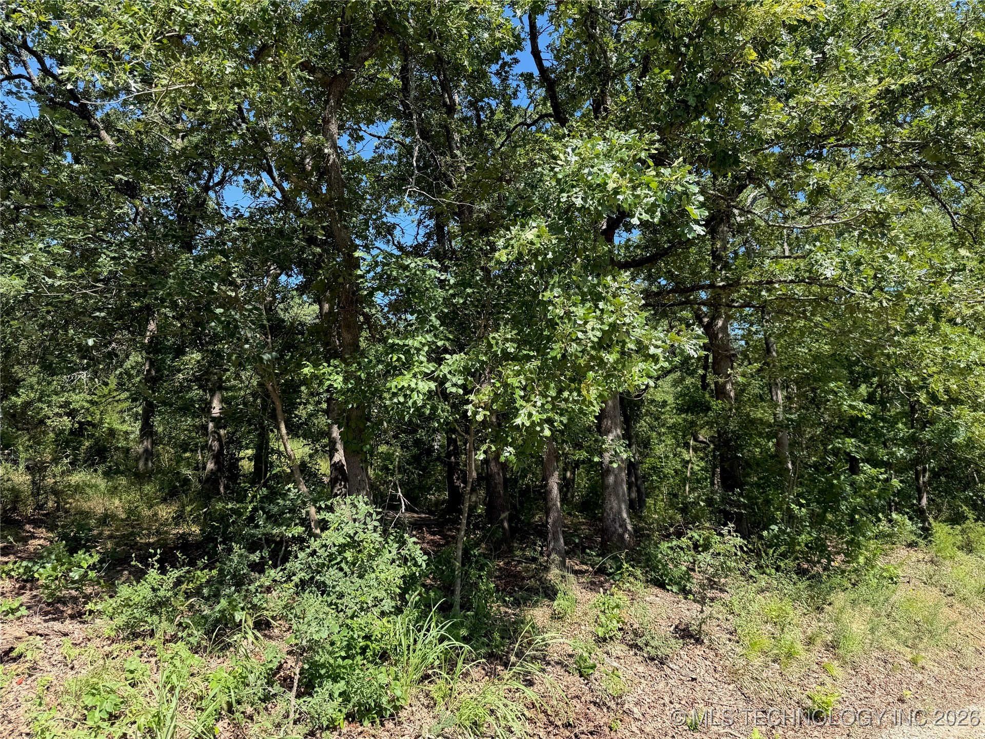 2817 Creek Road Property Photo 7