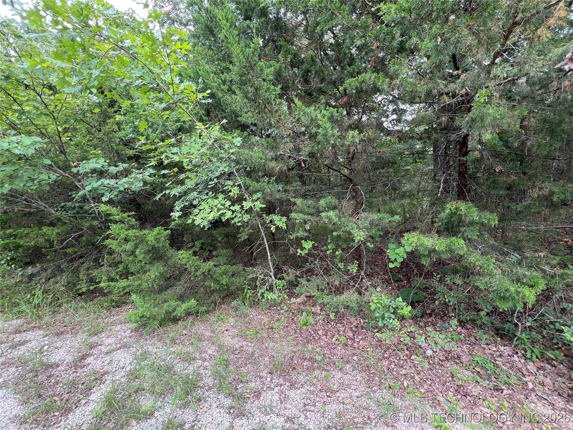 0 Hickory Court Property Photo 2