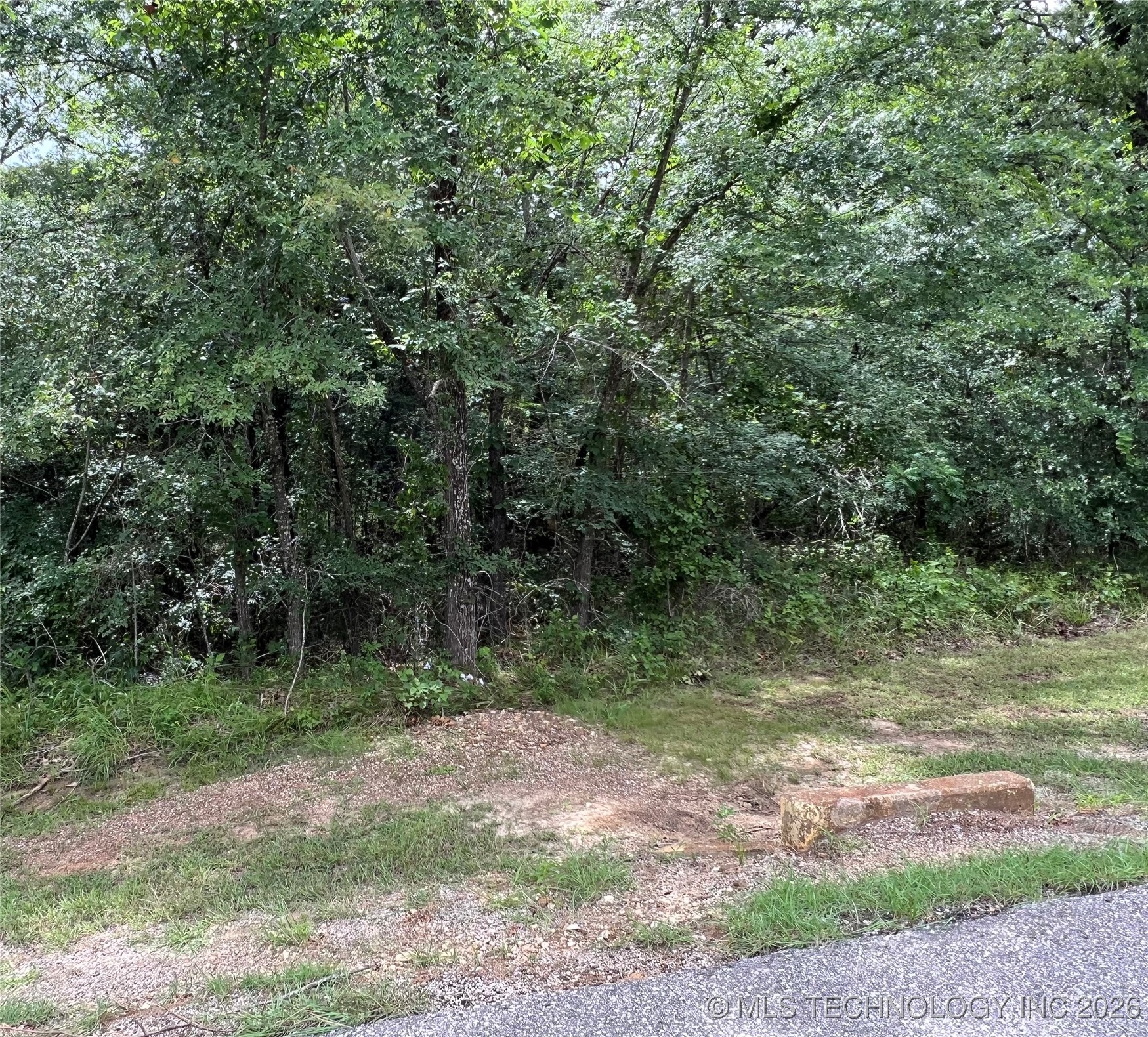 0 Oak Ridge Drive Property Photo 2