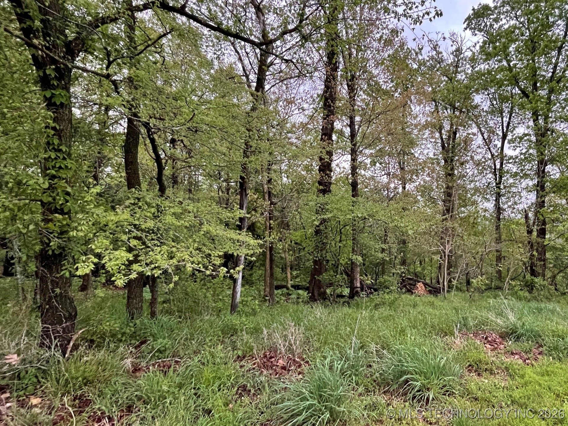 1229 Pheasant Run Road Property Photo 1