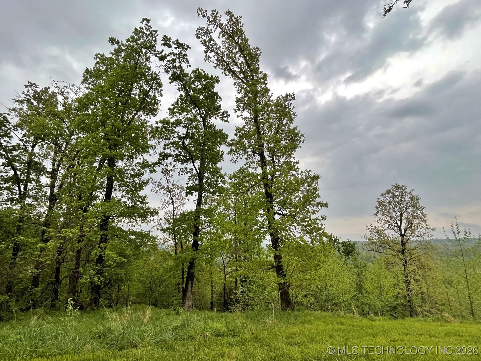 1229 Pheasant Run Road Property Photo 2