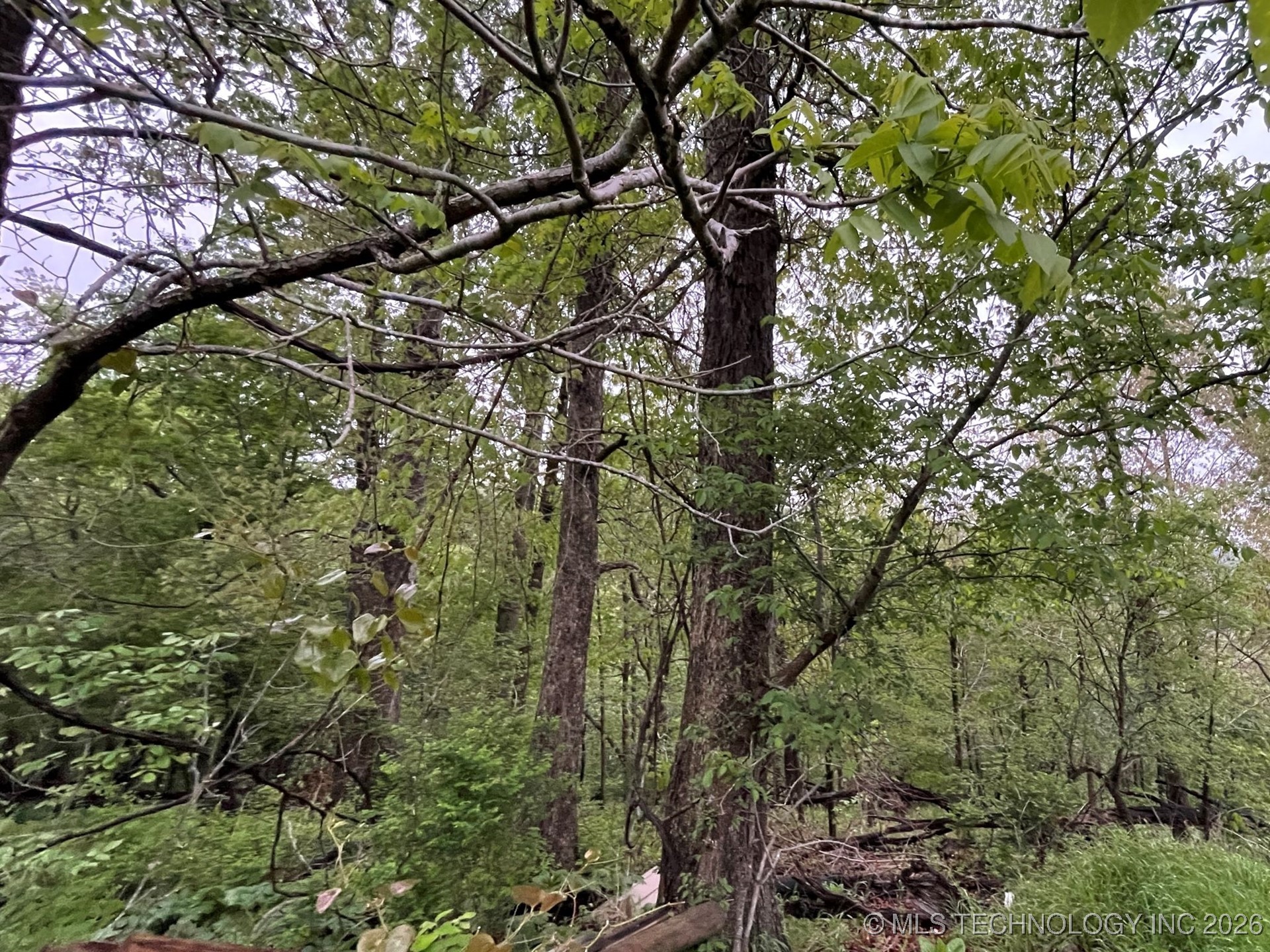 1229 Pheasant Run Road Property Photo 3