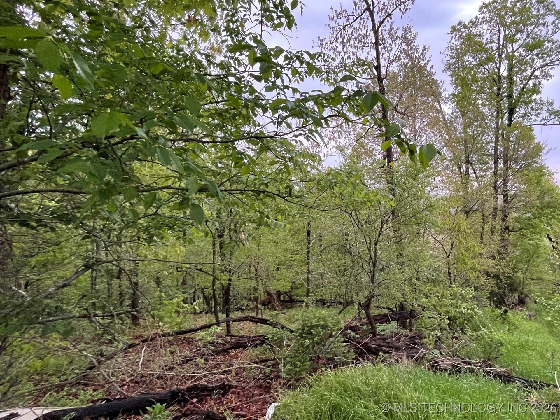 1229 Pheasant Run Road Property Photo 4