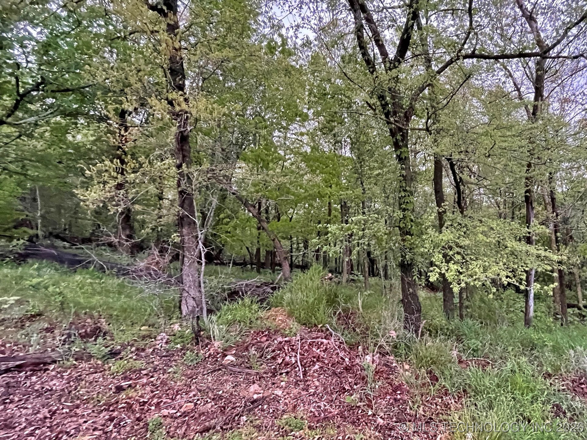 1229 Pheasant Run Road Property Photo 5