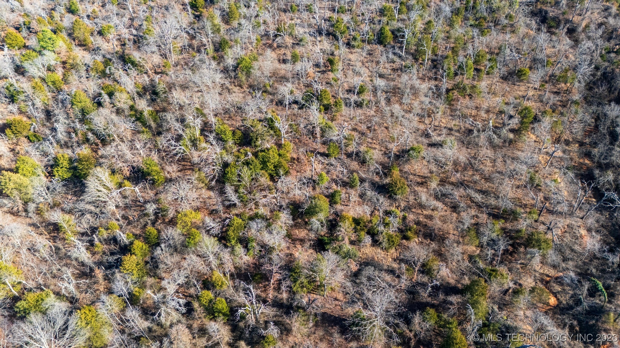 6 192nd Avenue Se Property Photo 32