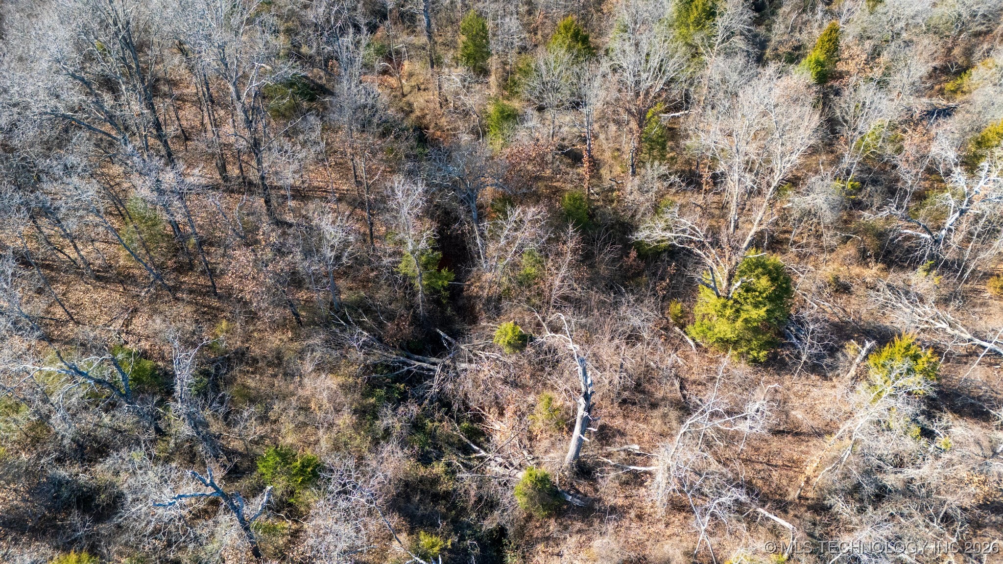 6 192nd Avenue Se Property Photo 35