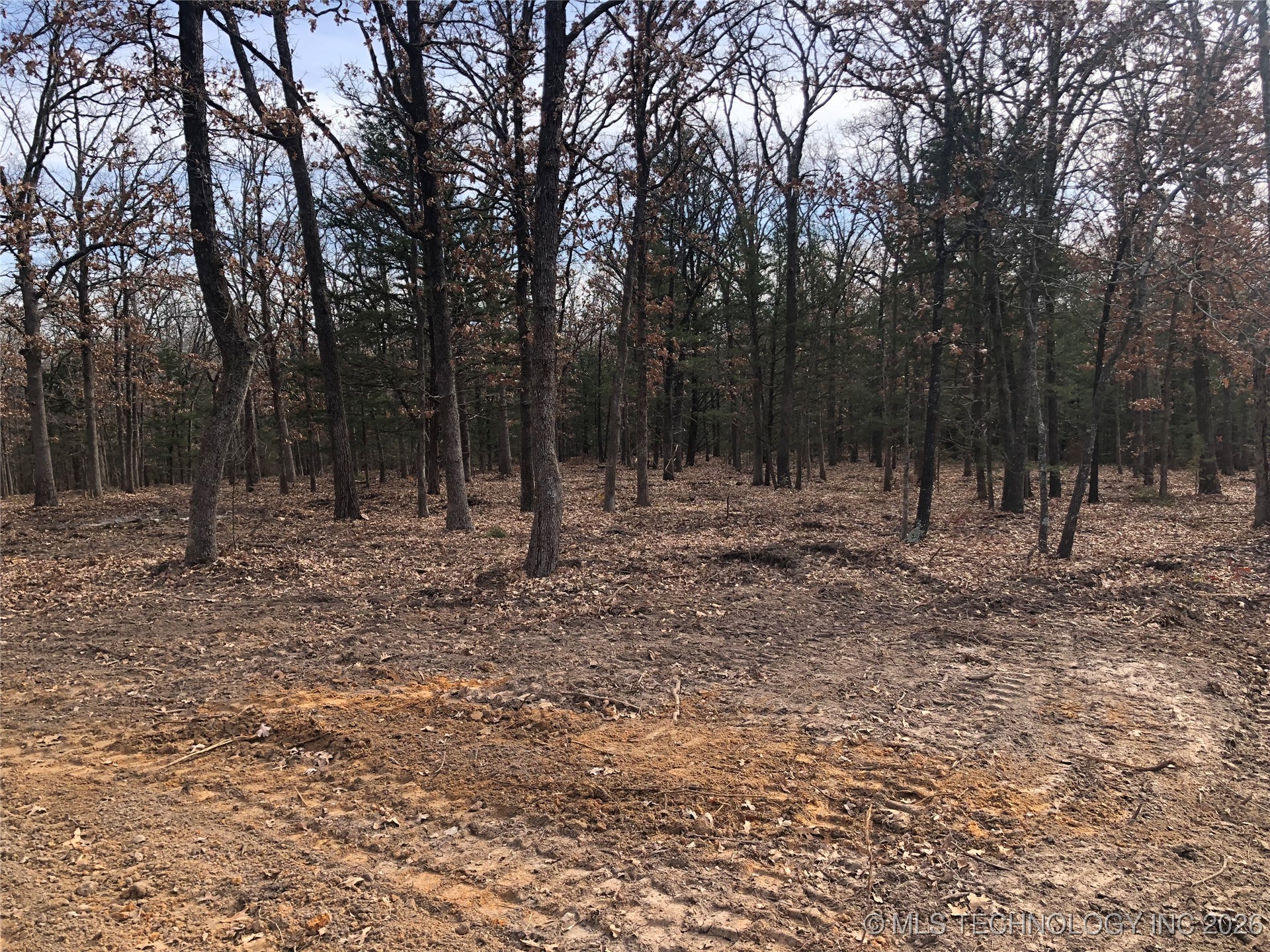 Palomino Lane Property Photo 1