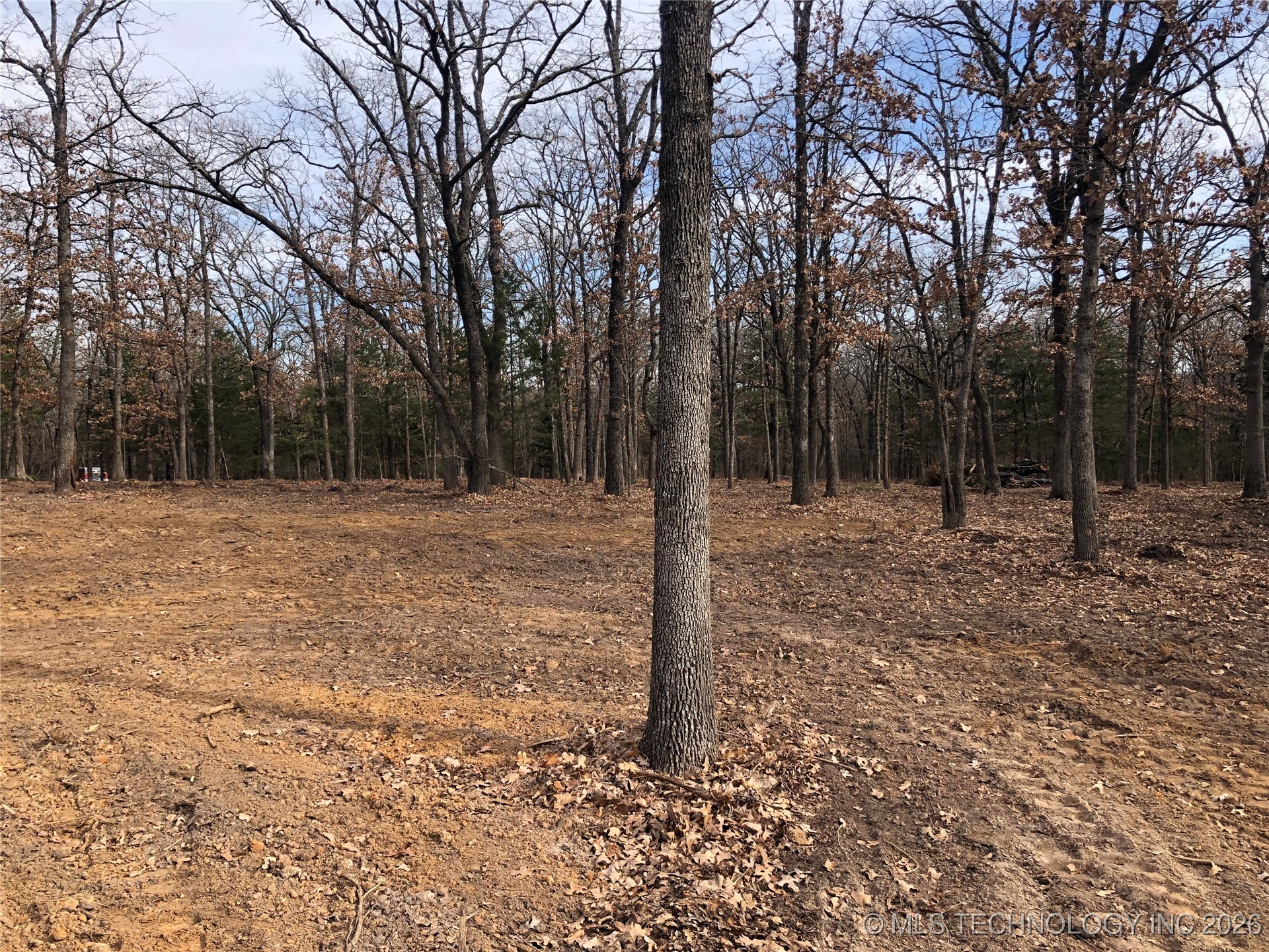 Palomino Lane Property Photo 2