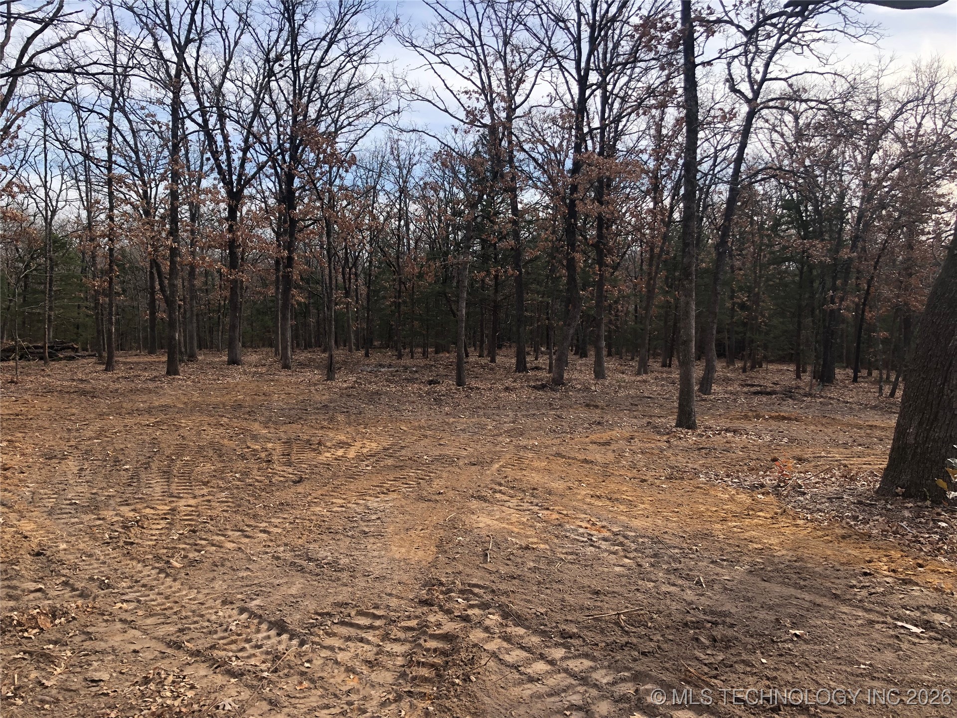 Palomino Lane Property Photo 3