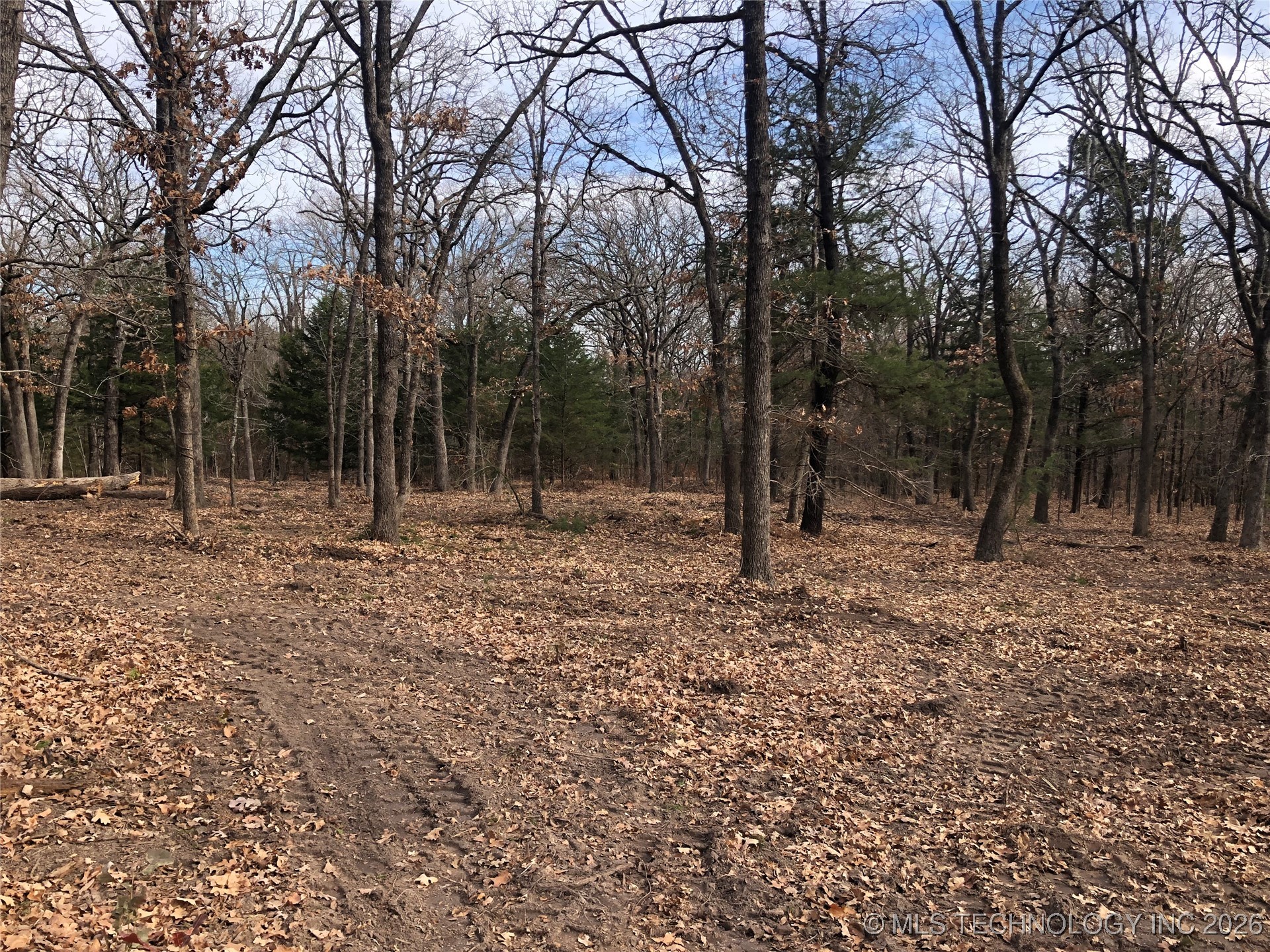 Palomino Lane Property Photo 4