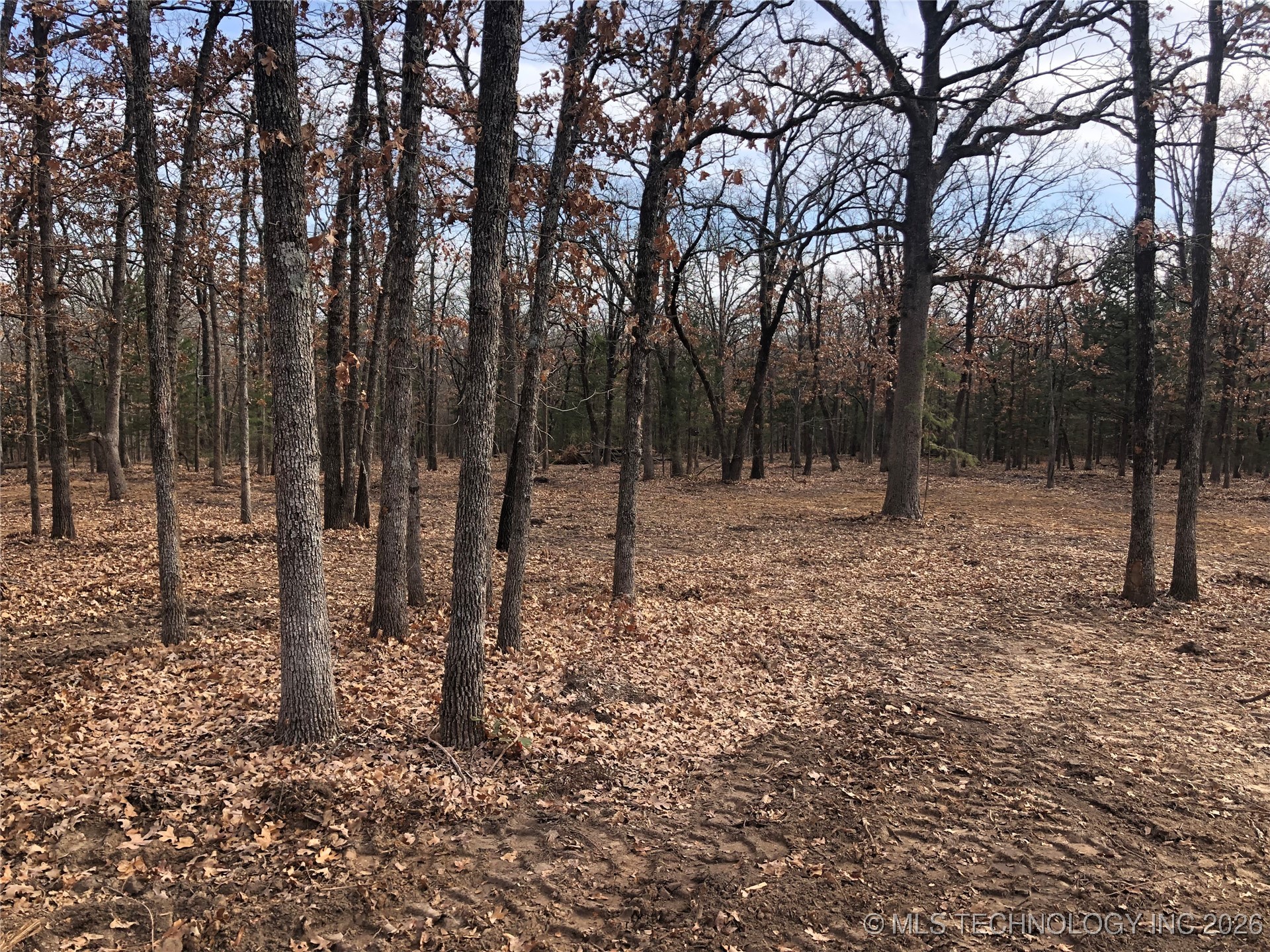 Palomino Lane Property Photo 5