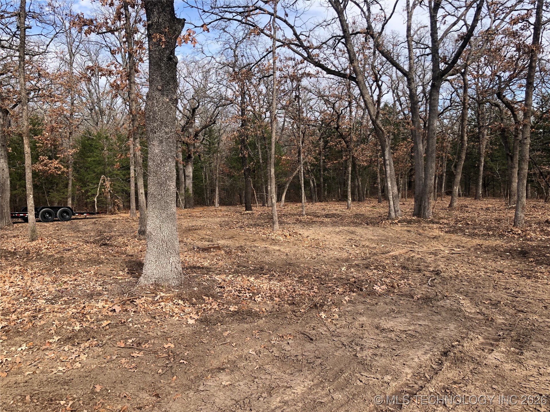 Palomino Lane Property Photo 6