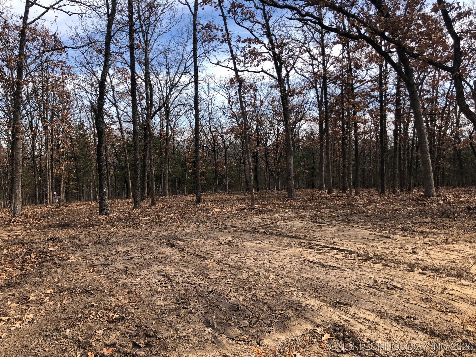 Palomino Lane Property Photo 7