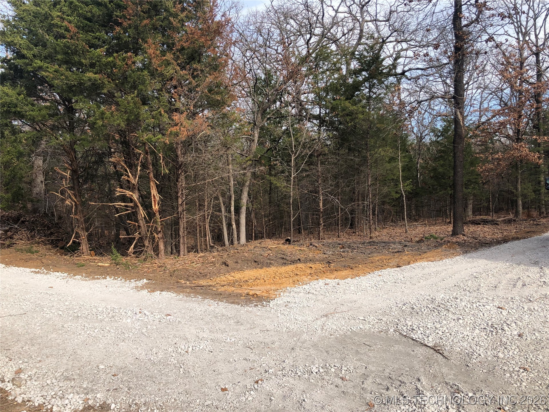 Palomino Lane Property Photo 8