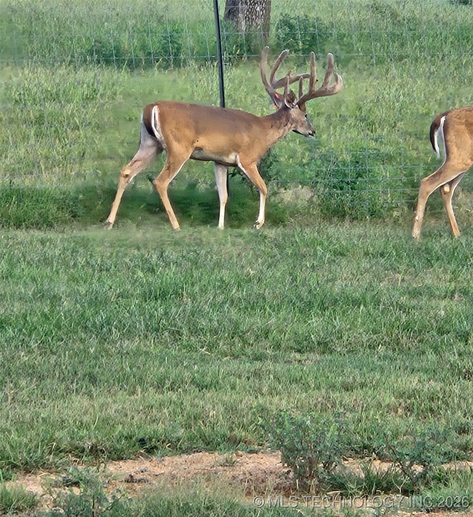 21501 S 705 Road Property Photo 4