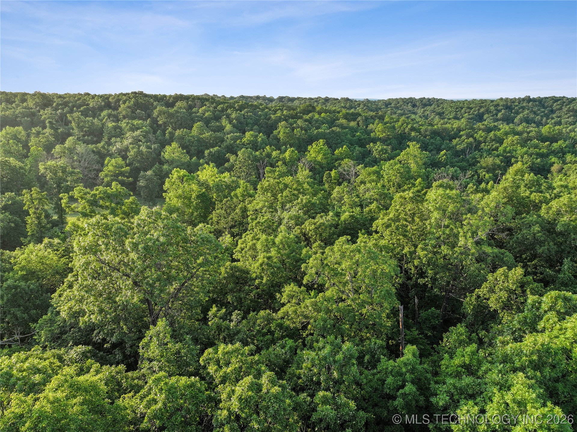 21501 S 705 Road Property Photo 54