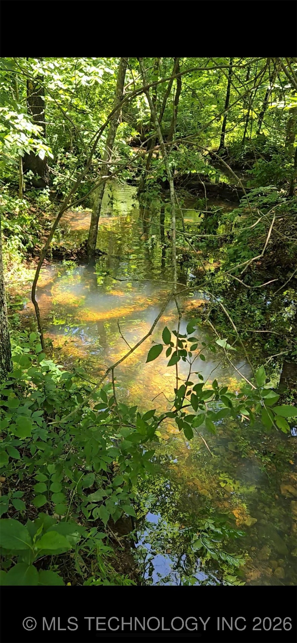 21501 S 705 Road Property Photo 92