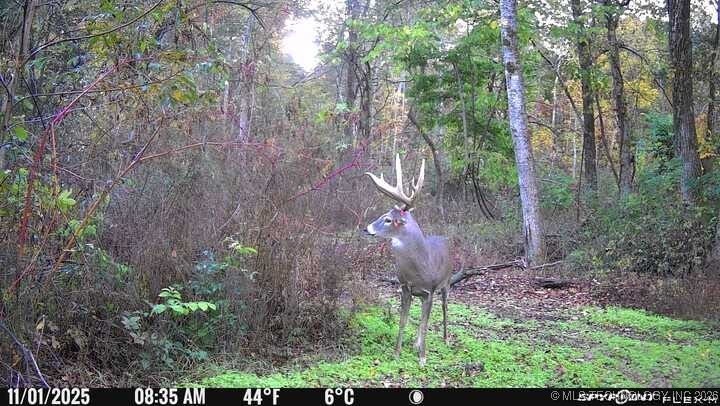 21501 S 705 Road Property Photo 96