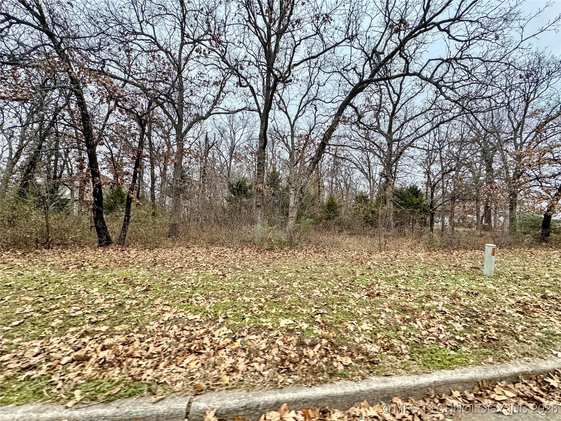 111 Boudinot Court Property Photo 8