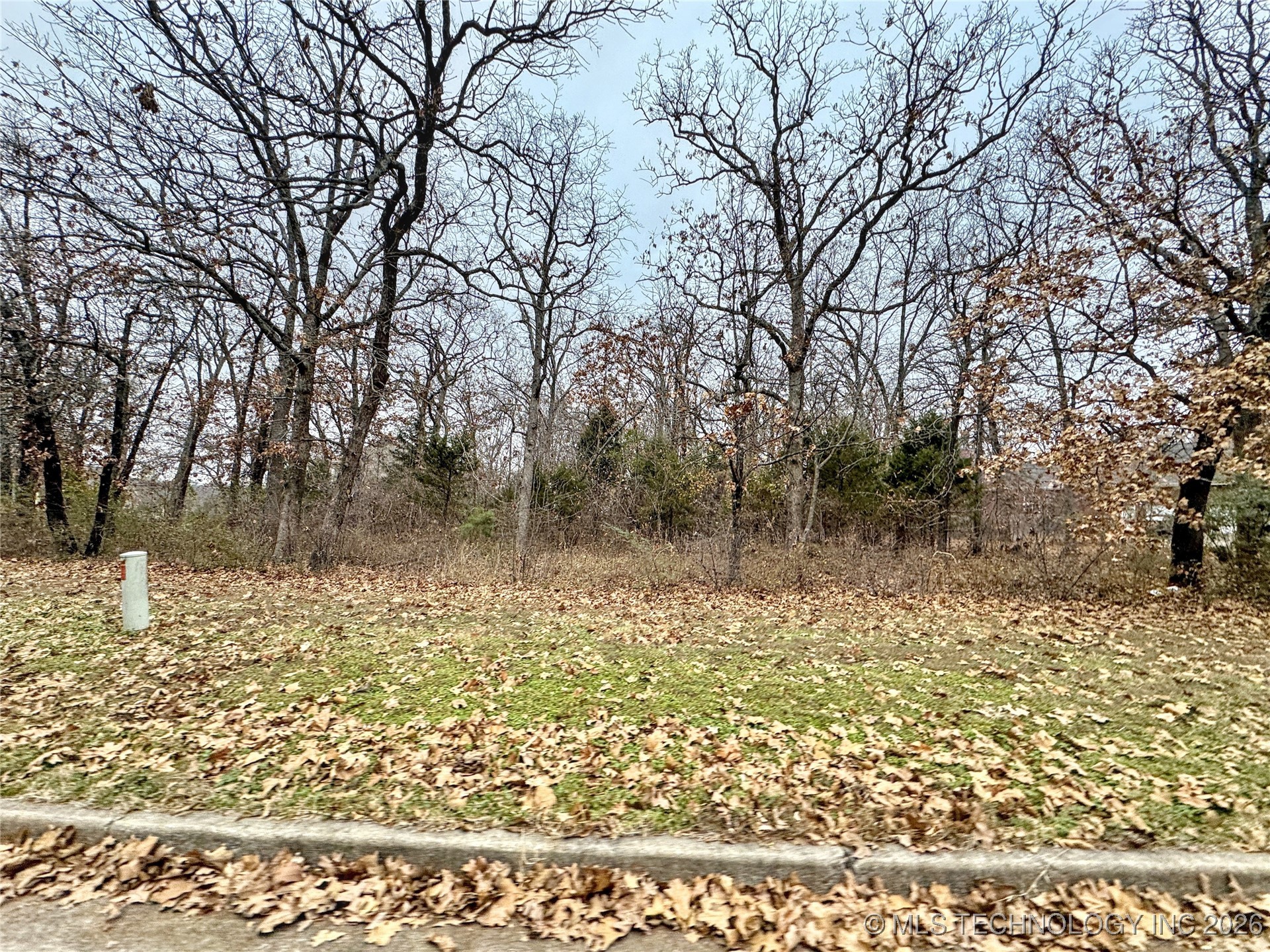 113 Boudinot Court Property Photo 9