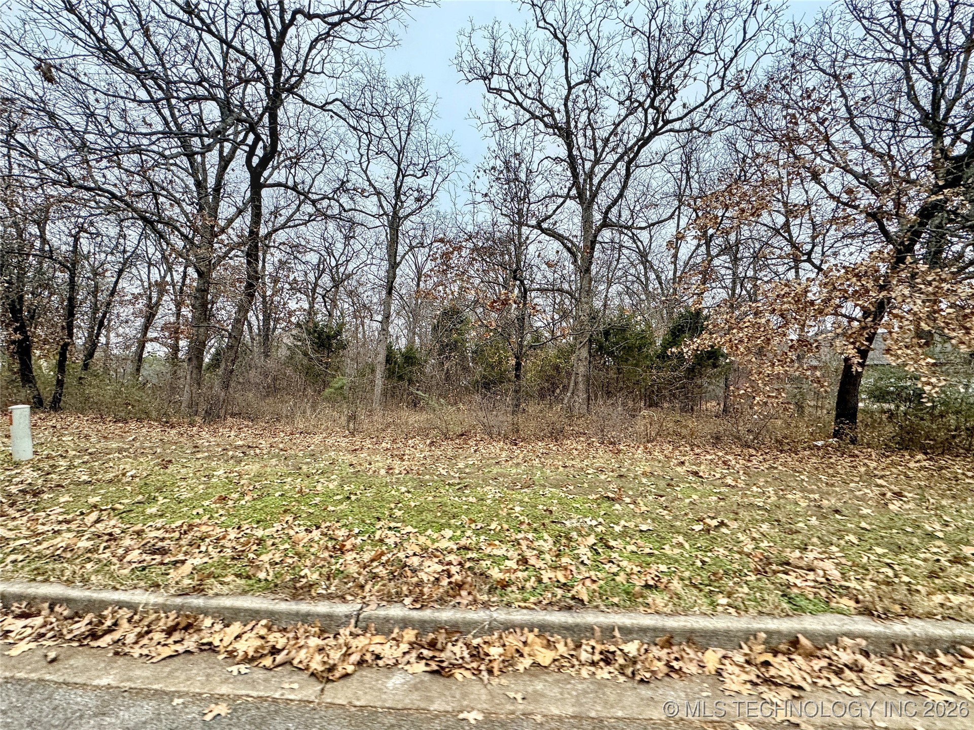 113 Boudinot Court Property Photo 10