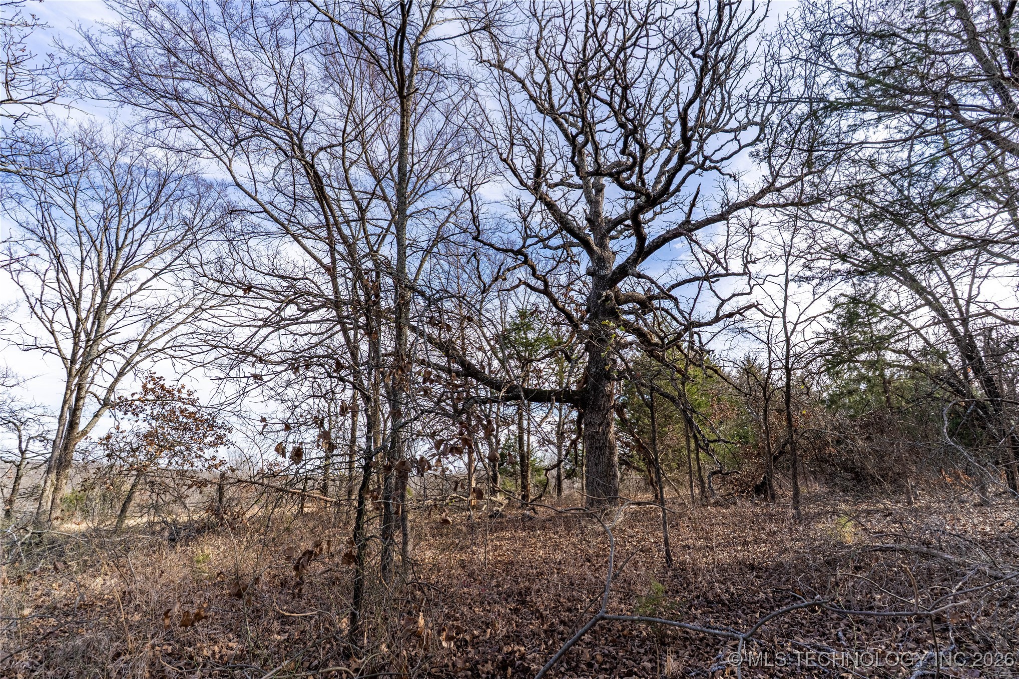 0000 Ns 367 Road Property Photo 10