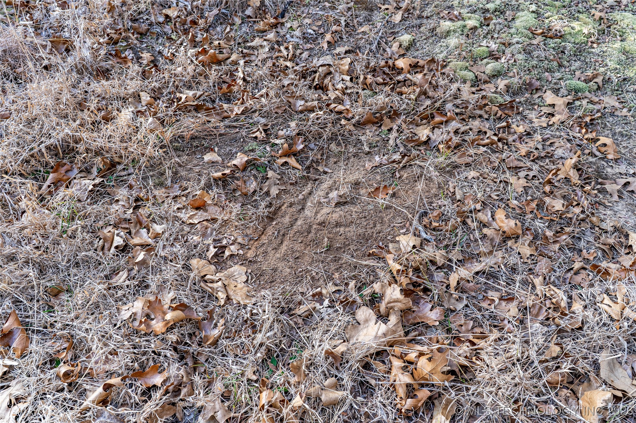 0000 Ns 367 Road Property Photo 12