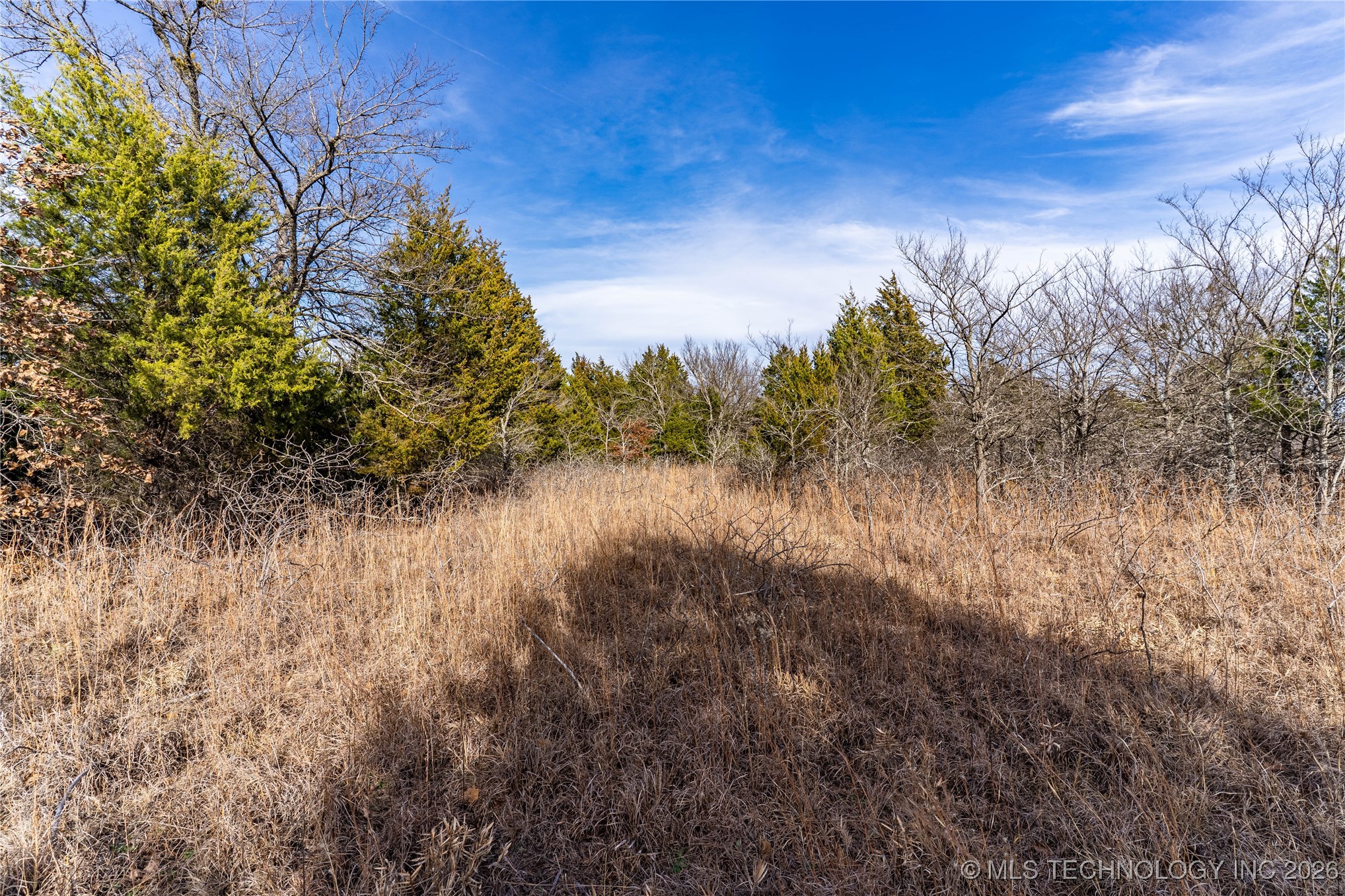 0000 Ns 367 Road Property Photo 13