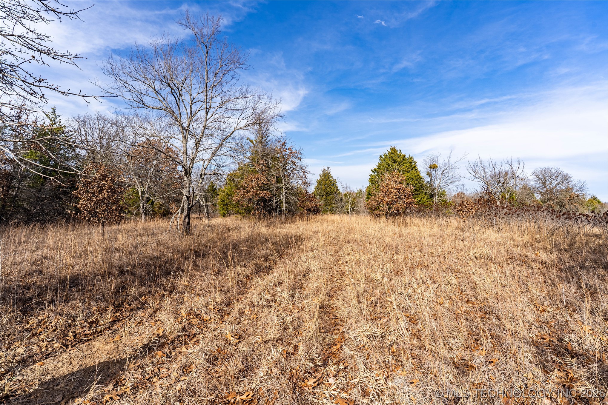 0000 Ns 367 Road Property Photo 15