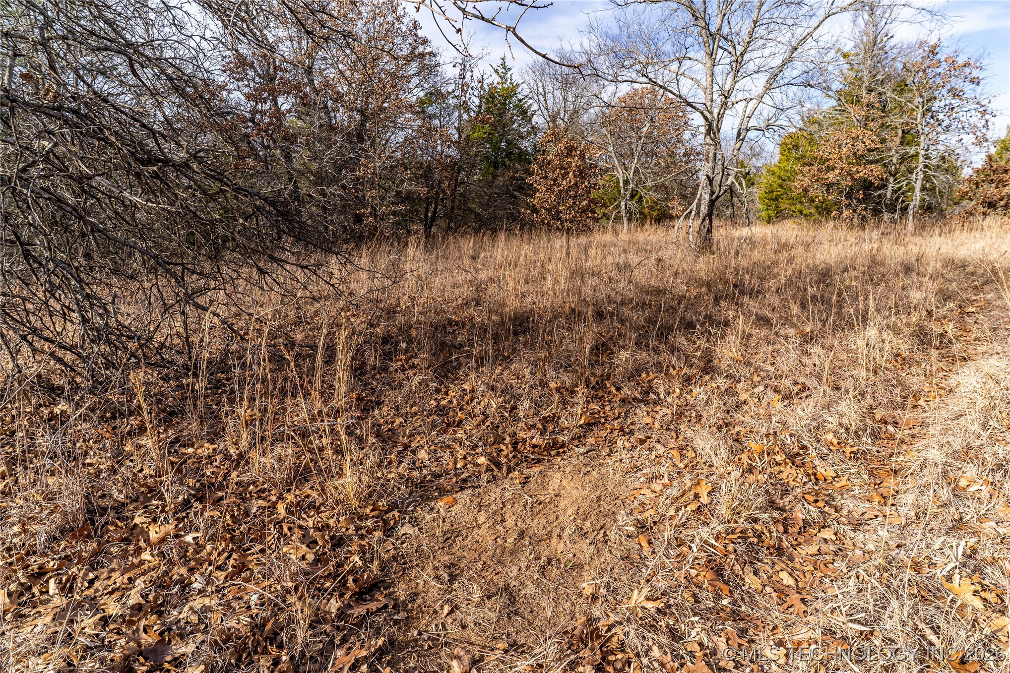 0000 Ns 367 Road Property Photo 16