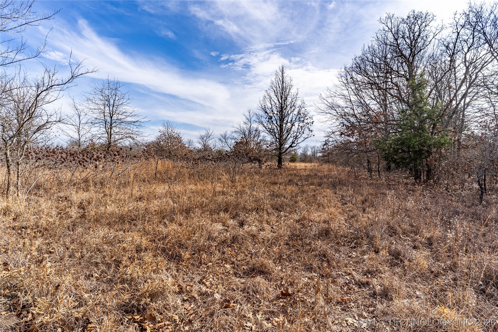 0000 Ns 367 Road Property Photo 17