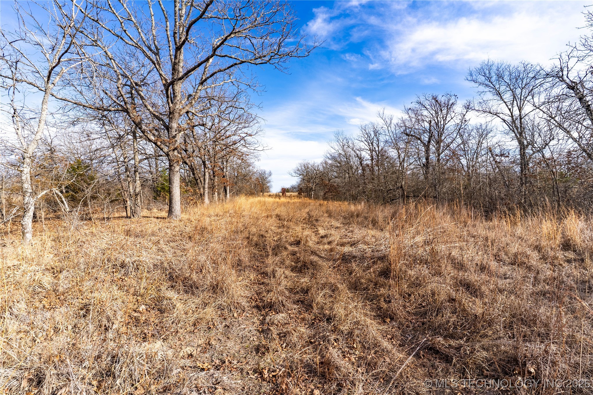 0000 Ns 367 Road Property Photo 19