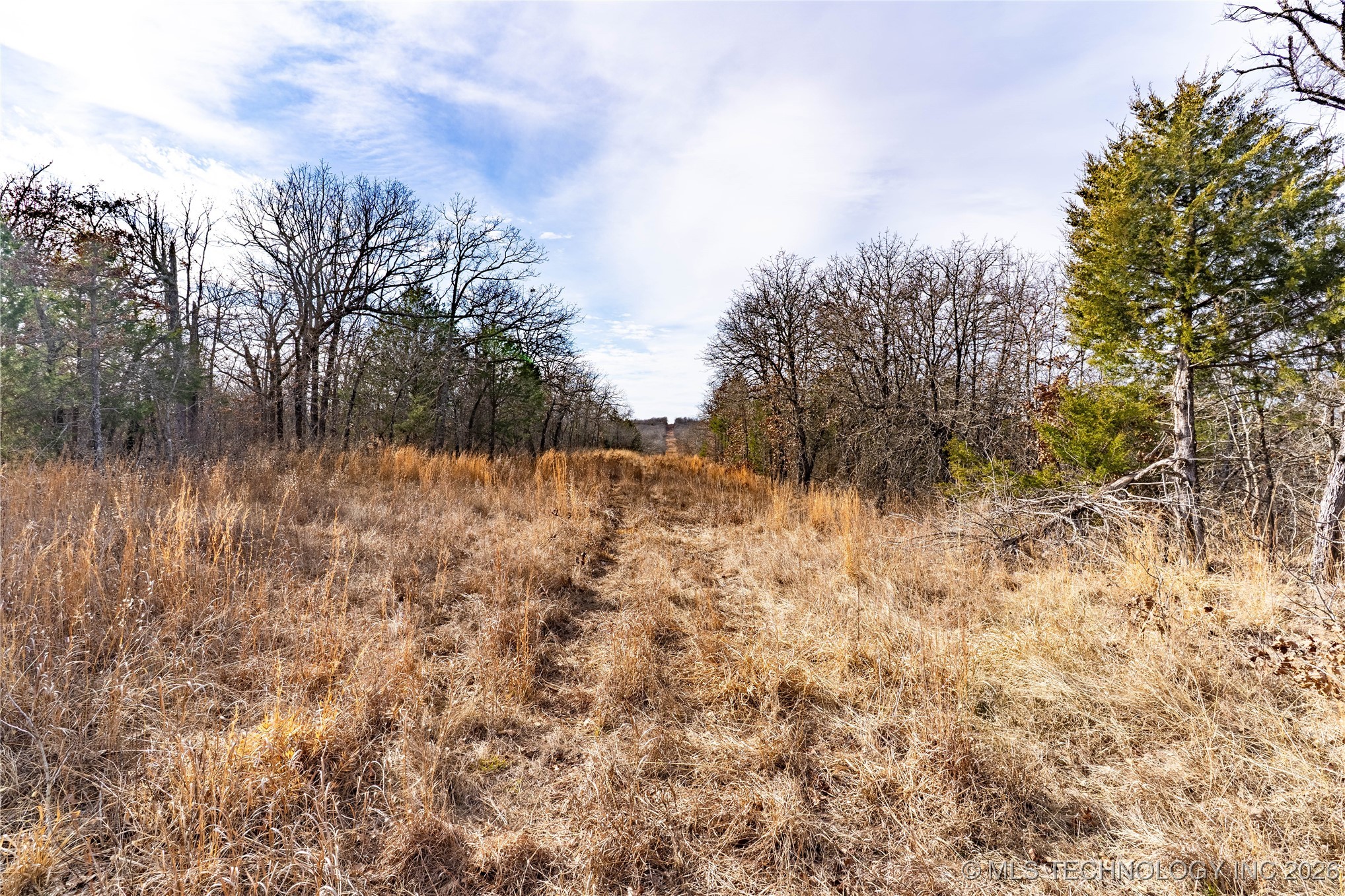 0000 Ns 367 Road Property Photo 20