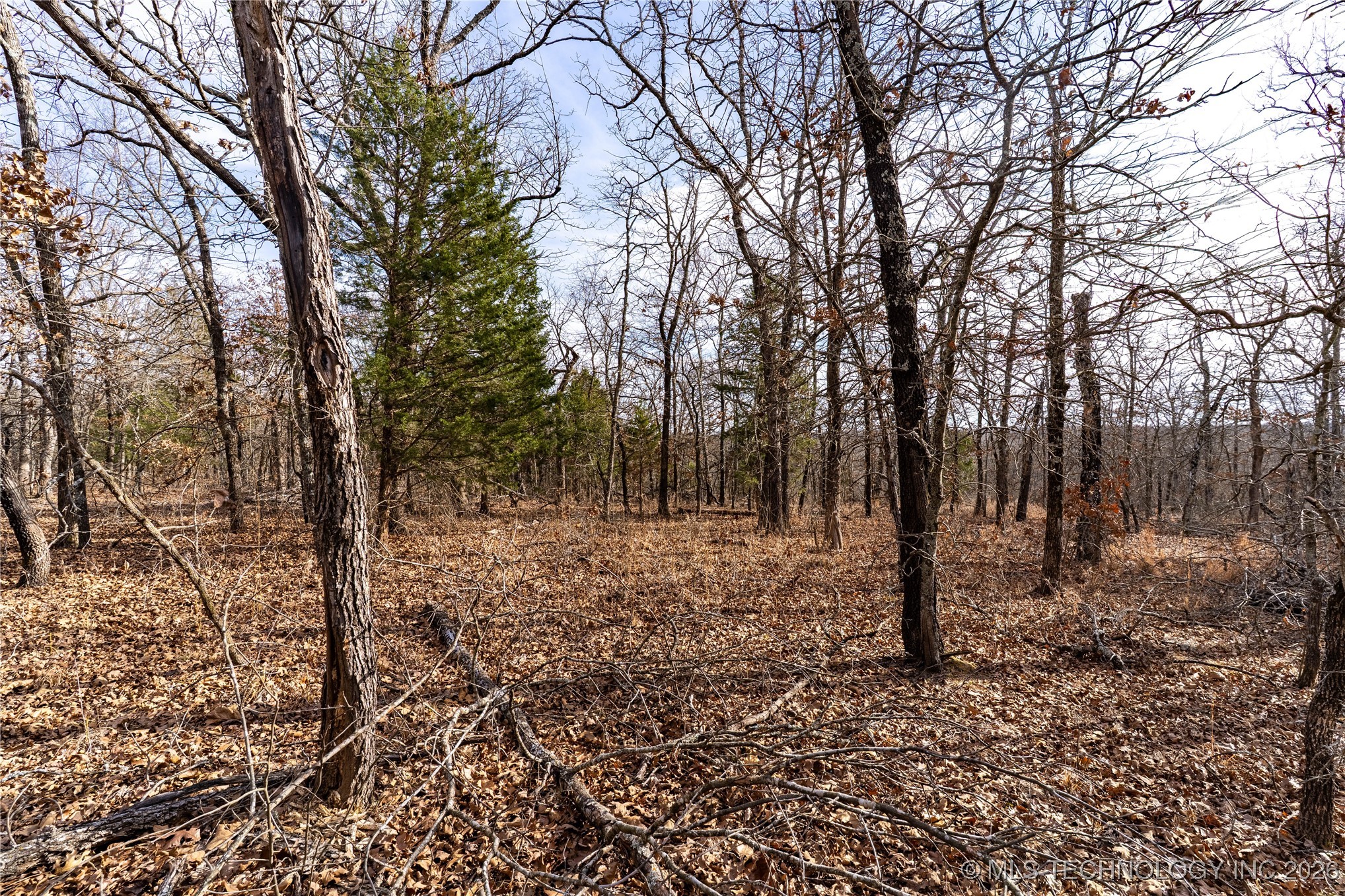 0000 Ns 367 Road Property Photo 21