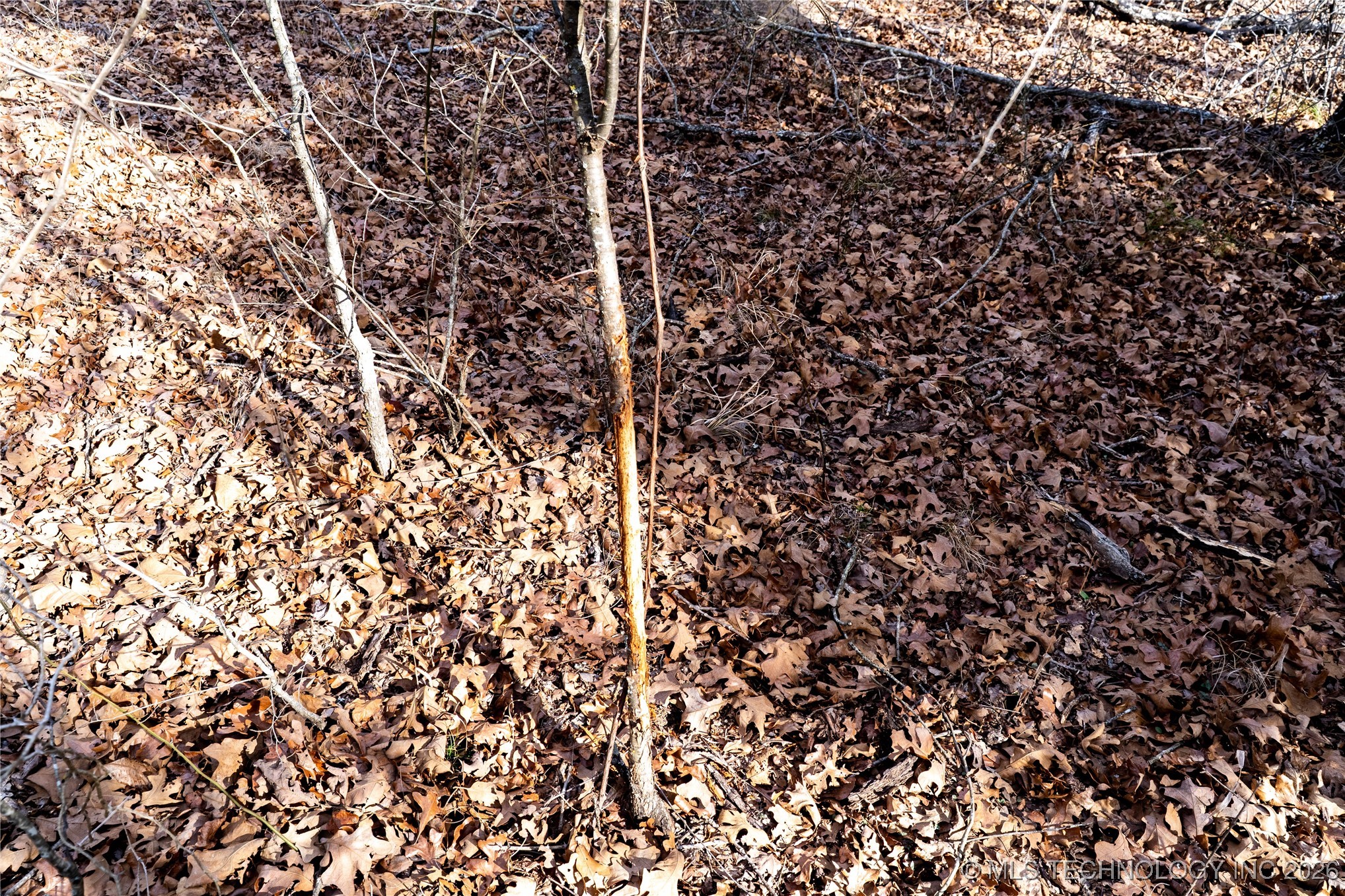 0000 Ns 367 Road Property Photo 22