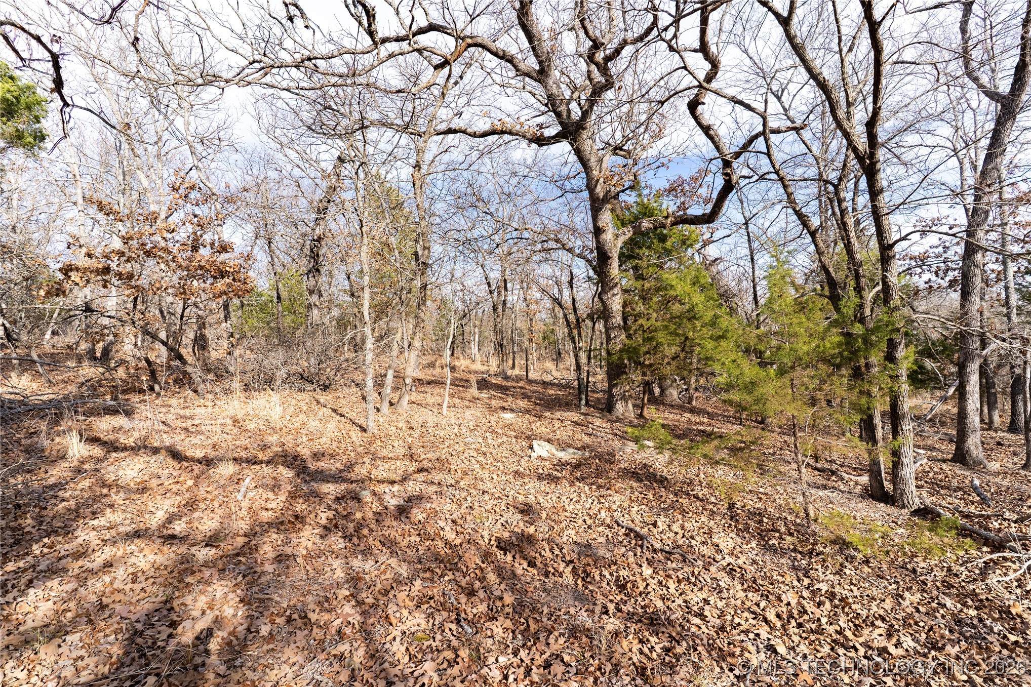 0000 Ns 367 Road Property Photo 23